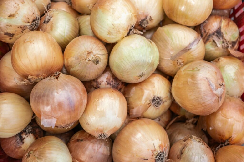 Зображення до статті від Doğan Alpaslan Demir