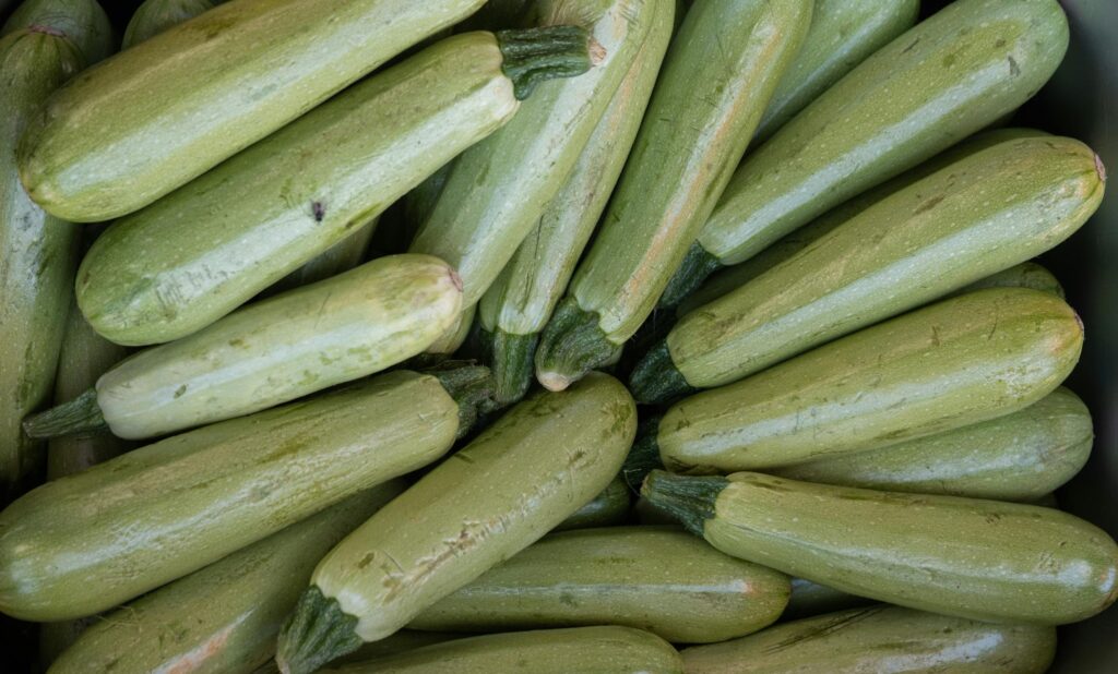 Як не варто поливати кабачки: одна зміна – і плоди виростуть велетенськими Зображення до статті від Doğan Alpaslan Demir