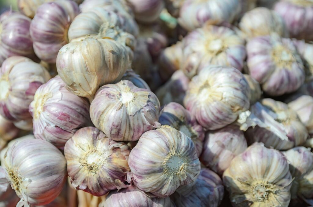 Чим полити часник у липні, щоб головки виросли великими та щільними Зображення до статті від AS Photography