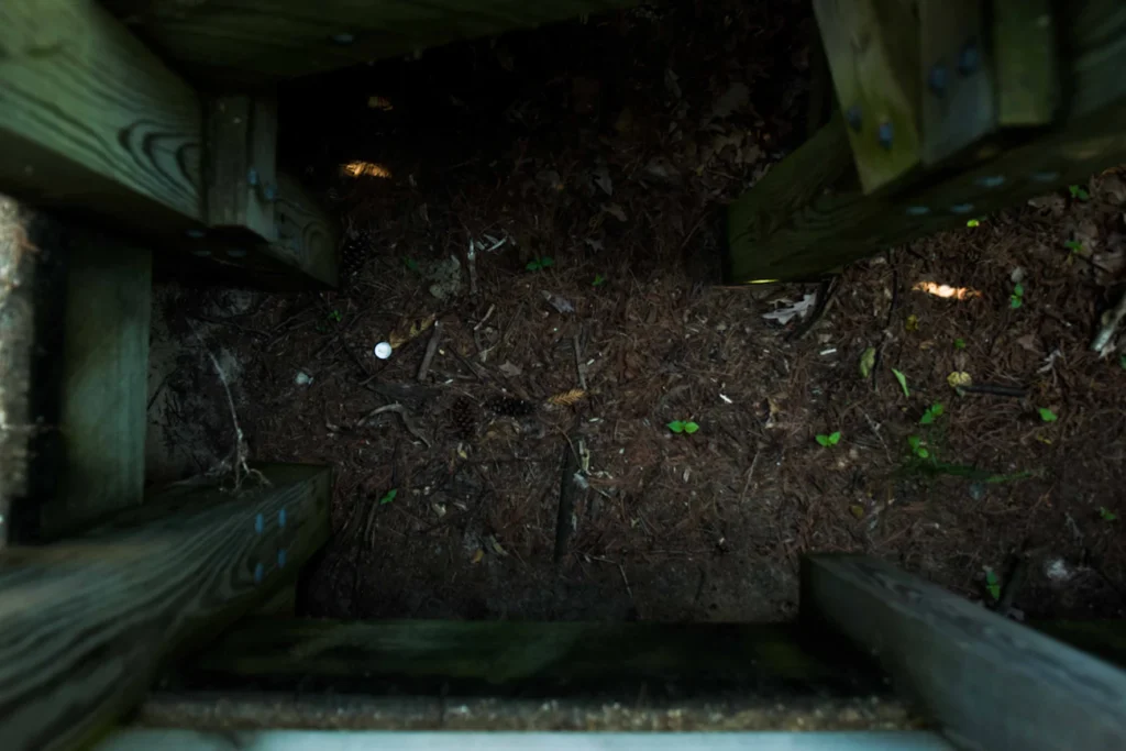 Зображення до статті від Liam Briese