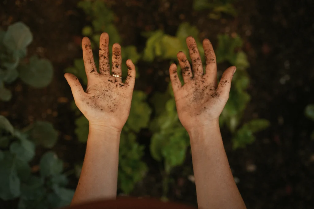 Зображення до статті від Kyle Barr