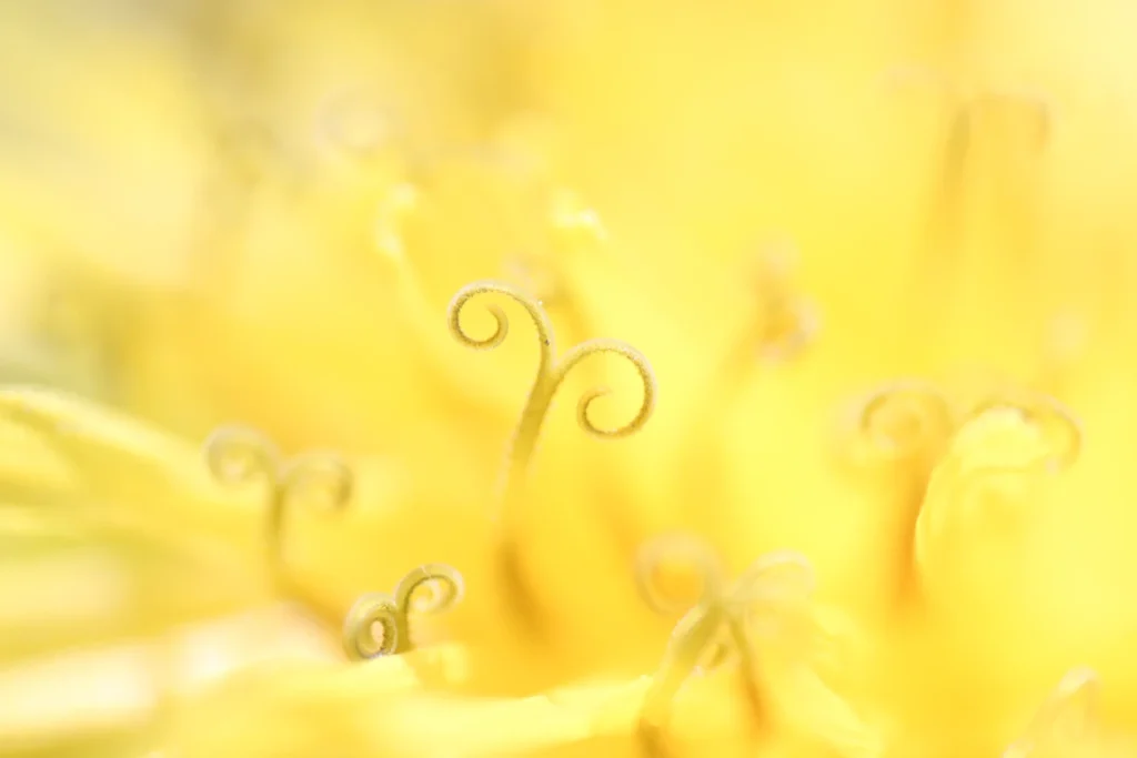 Зображення до статті від Ethan Hill