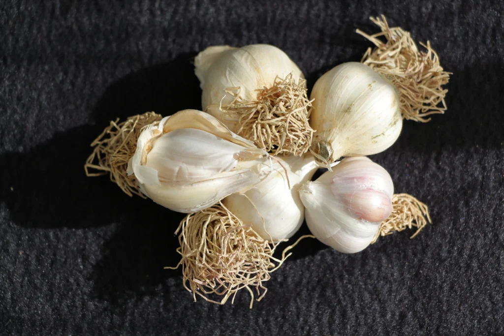 Як не втратити врожай часнику: головна помилка під час підживлення Зображення до статті від Mustafa akın