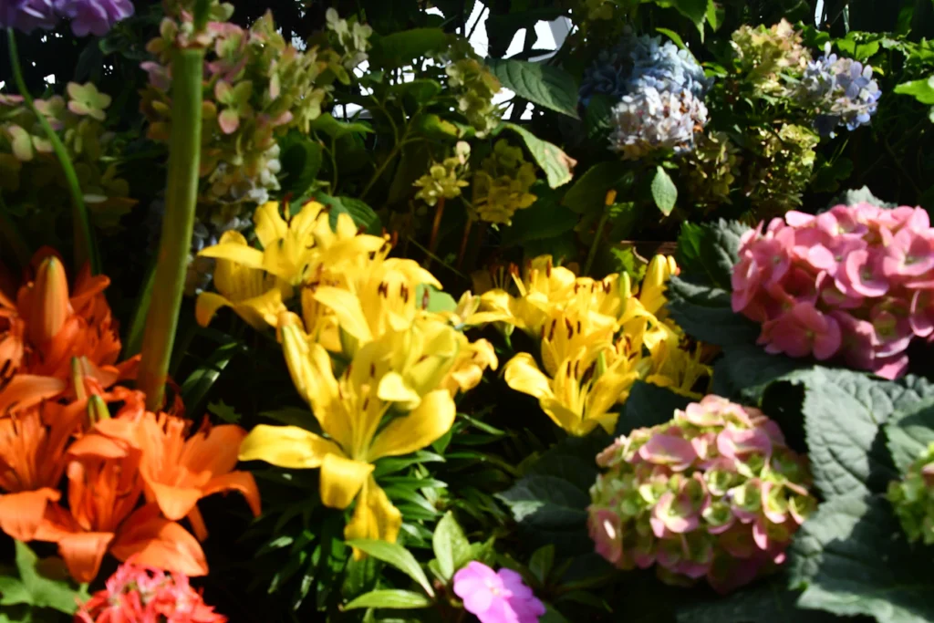 Зображення до статті від SnapSaga