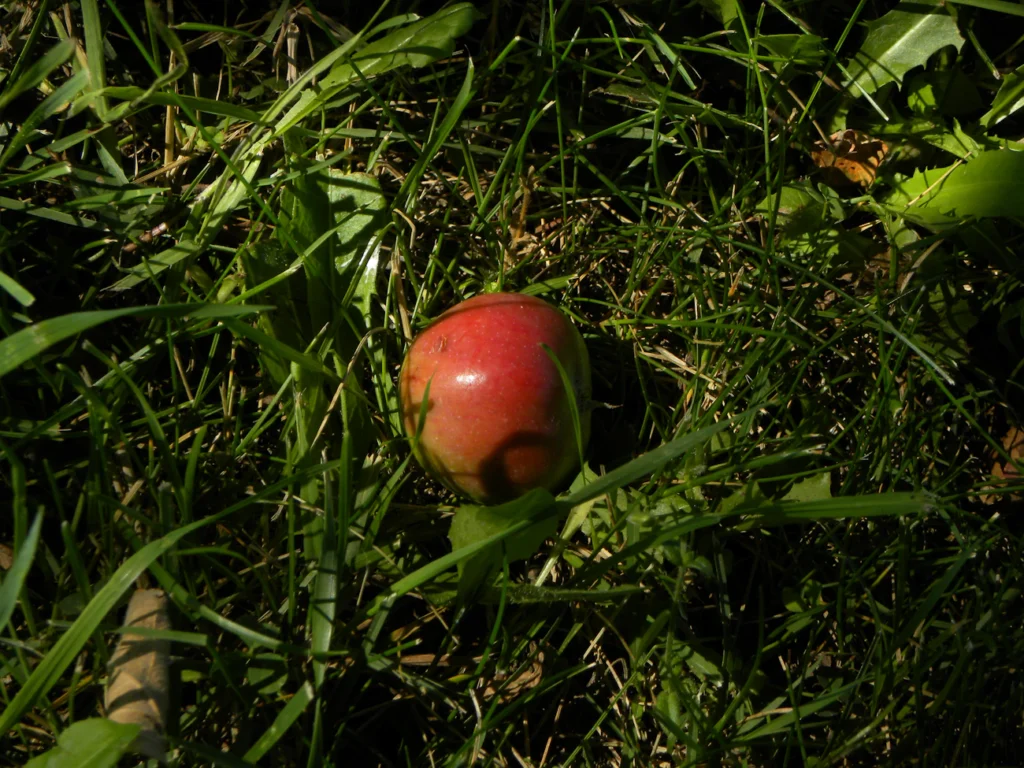 Зображення до статті від Doug R. W. Dunigan