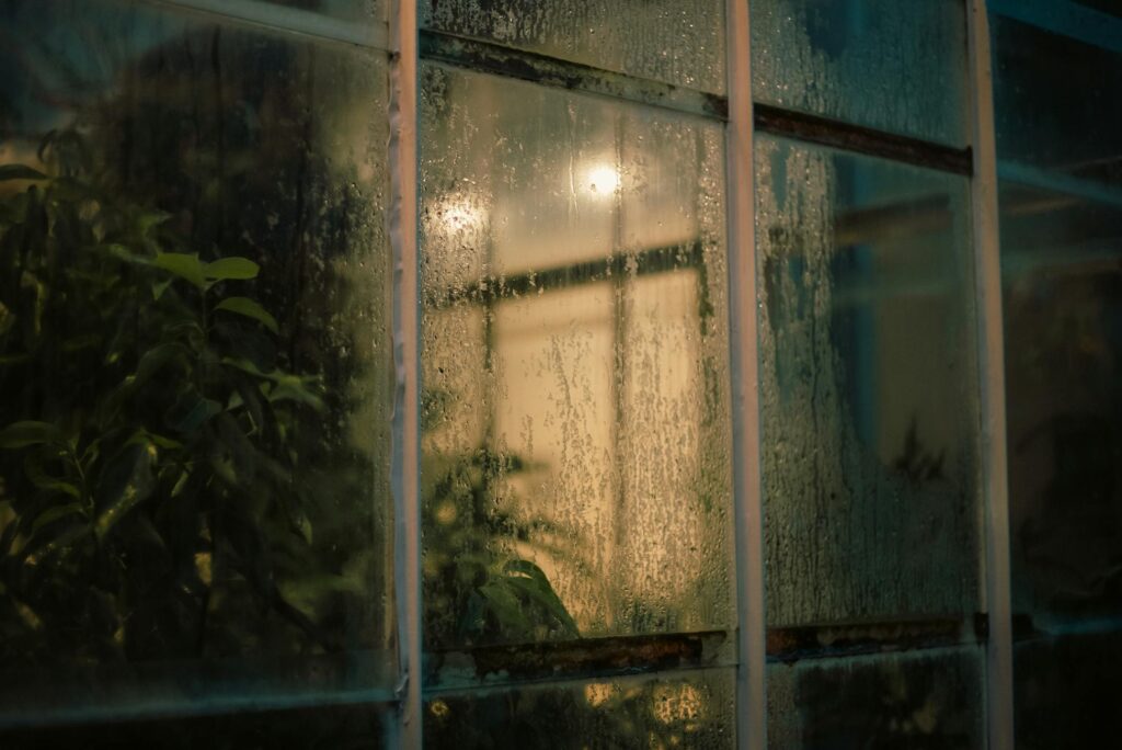 Зображення до статті від Josh Hild