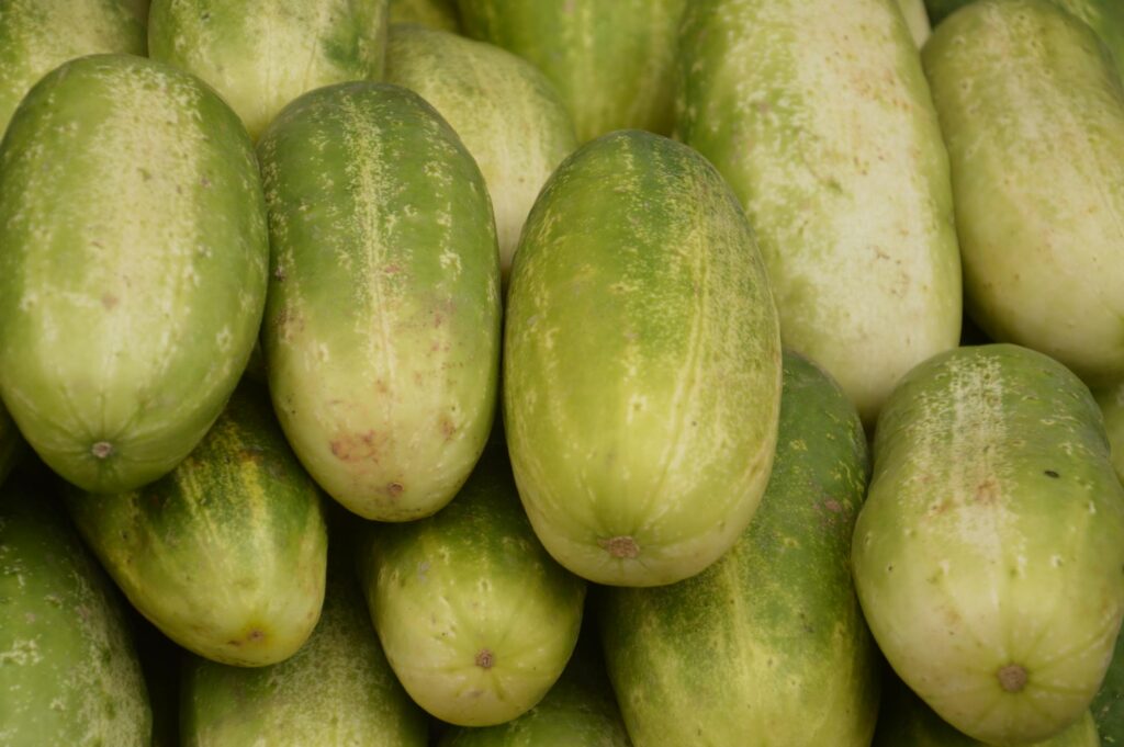 Як простий препарат з аптеки допомагає огіркам плодоносити рясніше Зображення до статті від micka randrianjafisolo