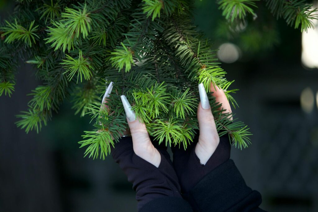 Зображення до статті від Vlad