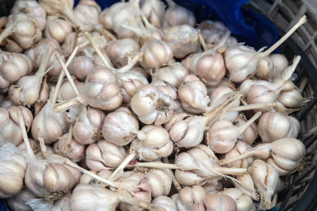 Секрет великого врожаю часнику — дія, яку треба зробити саме зараз Зображення до статті від Charles Chen