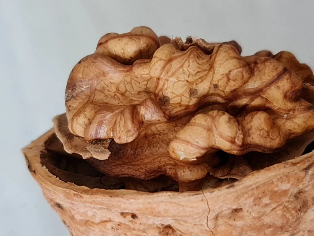 Зображення до статті від Banafsheh mohamadi