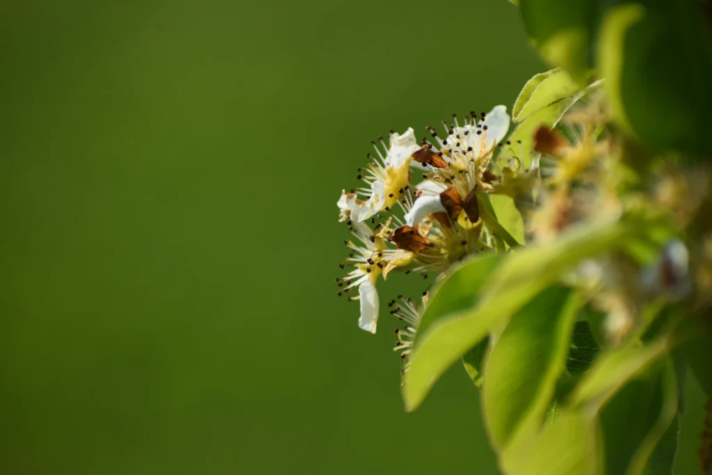 Зображення до статті від Chey Lou