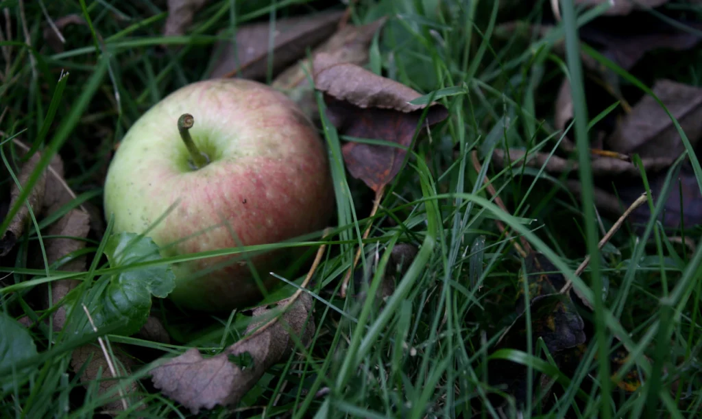 Зображення до статті від A. B.