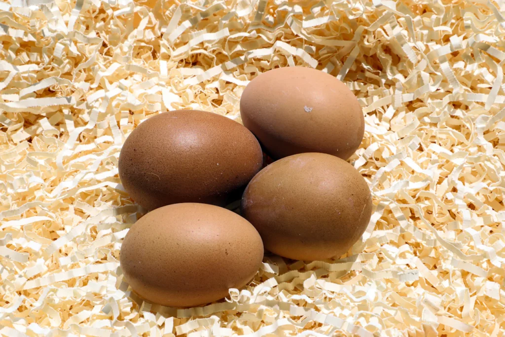 С0, С1 чи органічні: які яйця справді багаті на вітамін D Зображення до статті від Ashes Sitoula