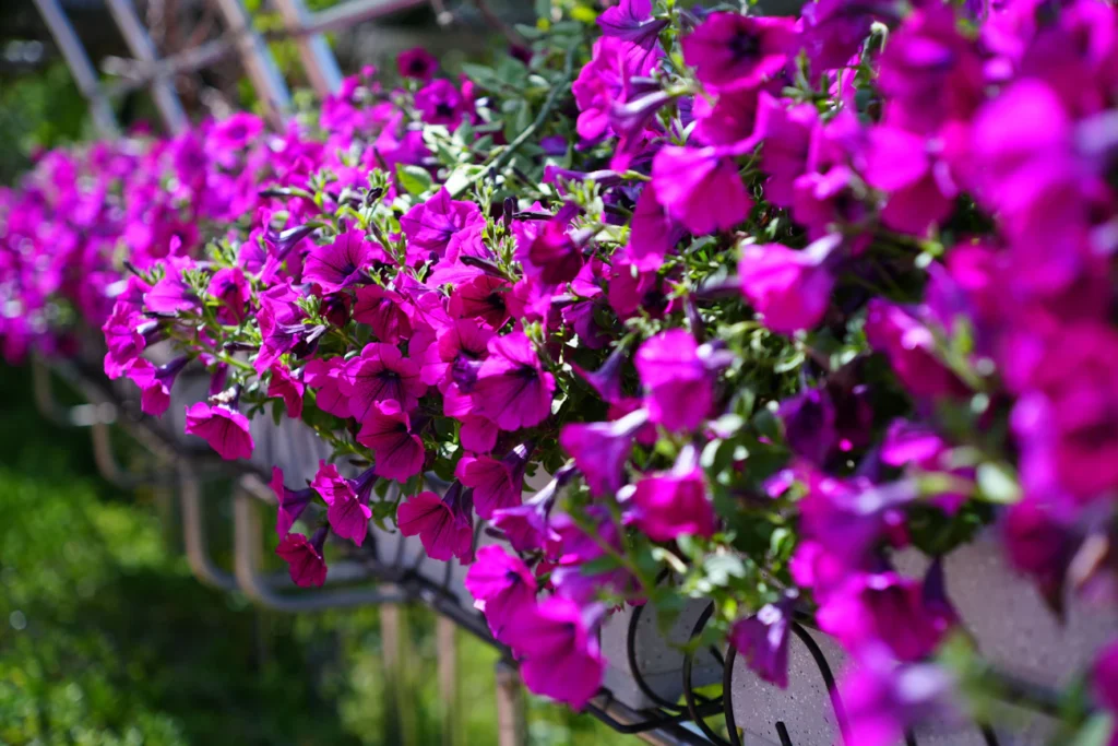 Зображення до статті від lee seunghyub