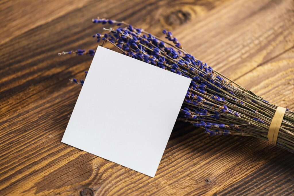 Зображення до статті від Andrzej Gdula