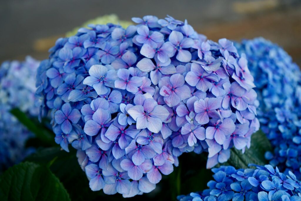 Зображення до статті від A Goddard