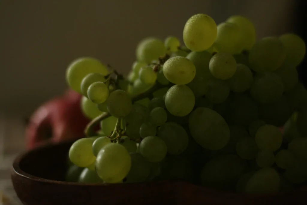 Зображення до статті від Marina Matusevich