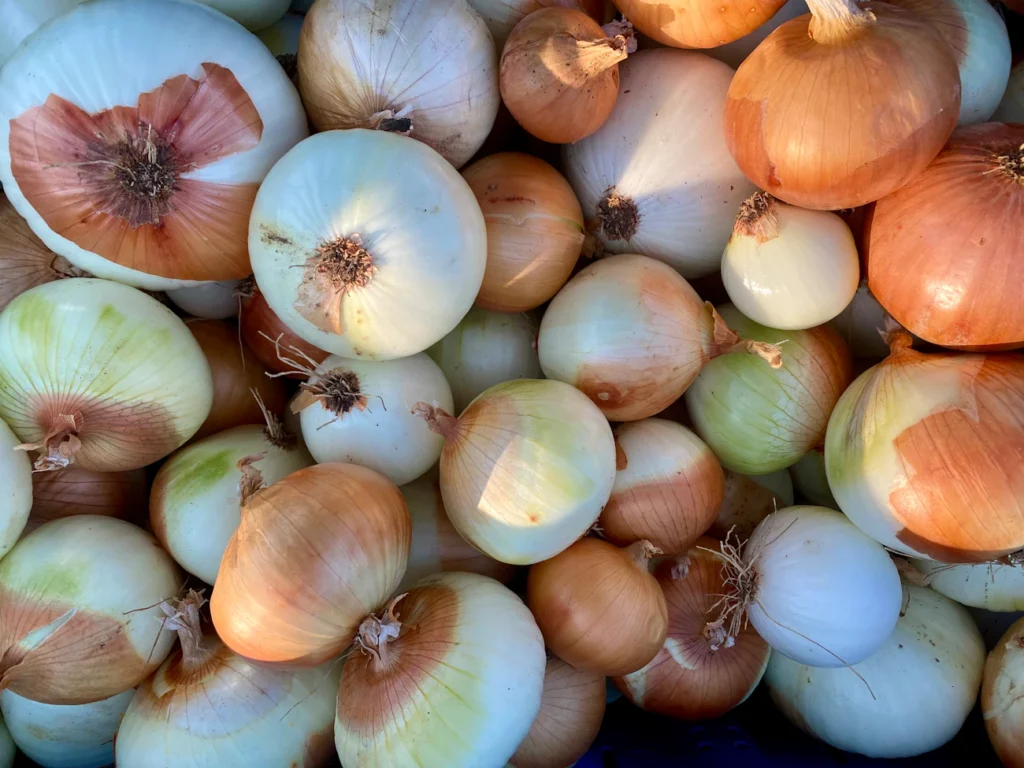 Зображення до статті від Jim Petkiewicz