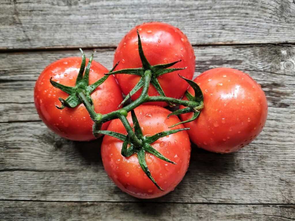 Зображення до статті від Pili Toro