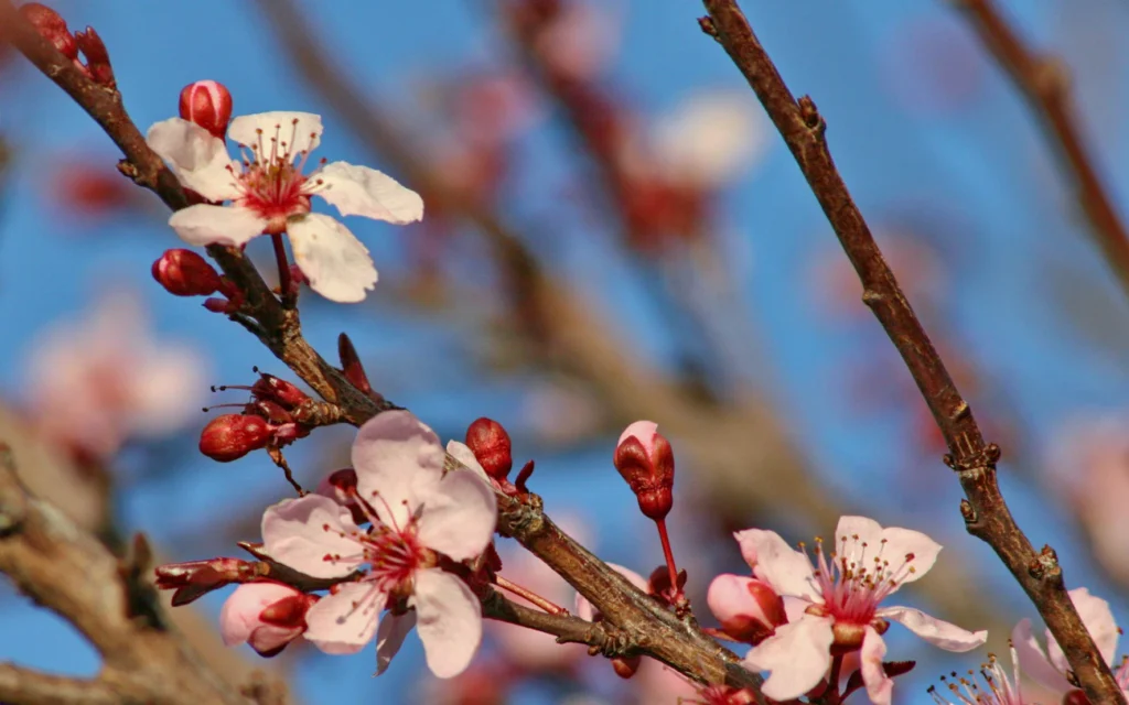 Зображення до статті від Cory Curtis