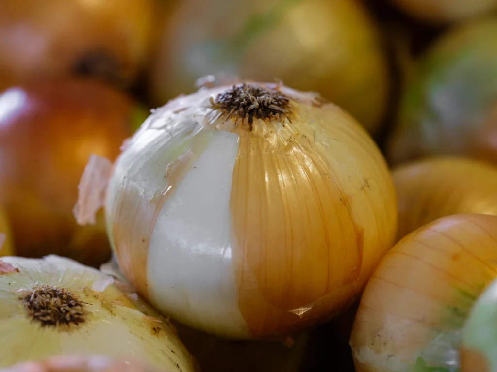 Зображення до статті від engin akyurt