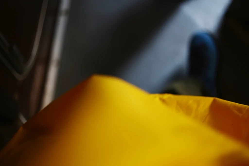 Зображення до статті від Liana S