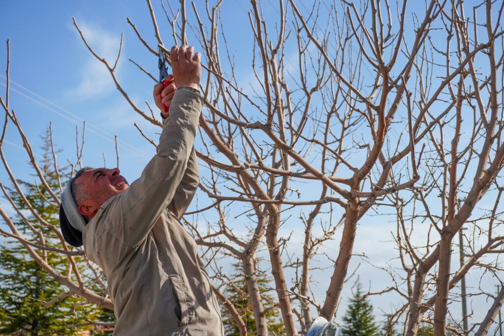 Квітневий спринт: 5 справ на городі, які не пробачать запізнення Зображення до статті від mehmetography