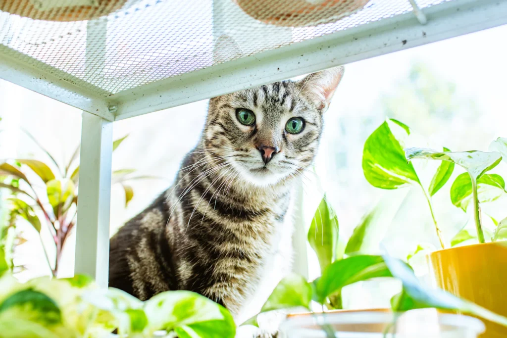 Зображення до статті від Tatyana Rubleva