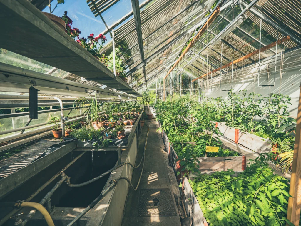 Зображення до статті від neil macc