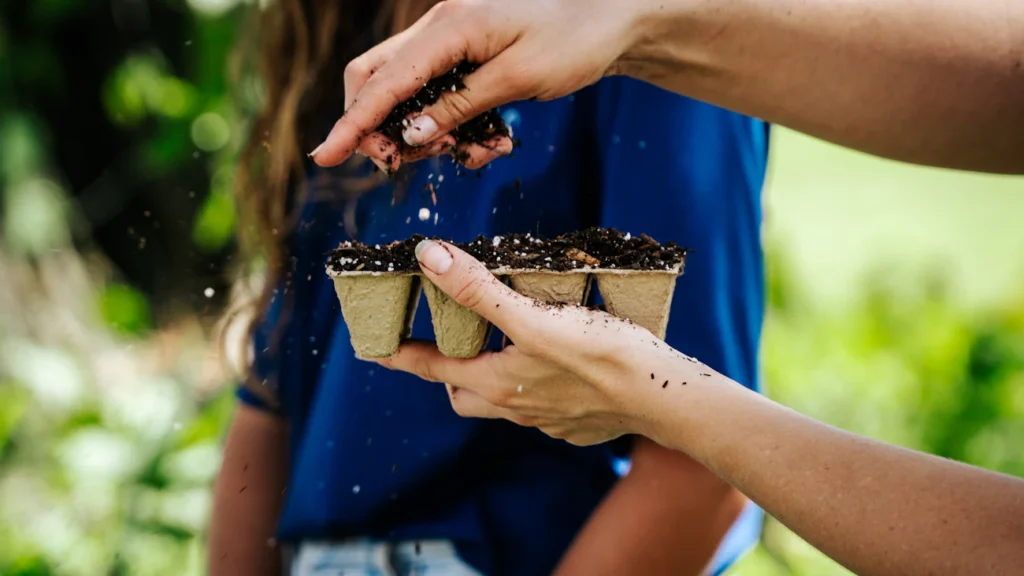 Зображення до статті від Kim Dufresne