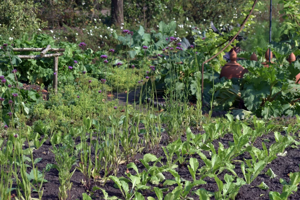 Зображення до статті від Ries Bosch
